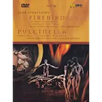 Nuovo Arrivo Firebird Pulcinella
